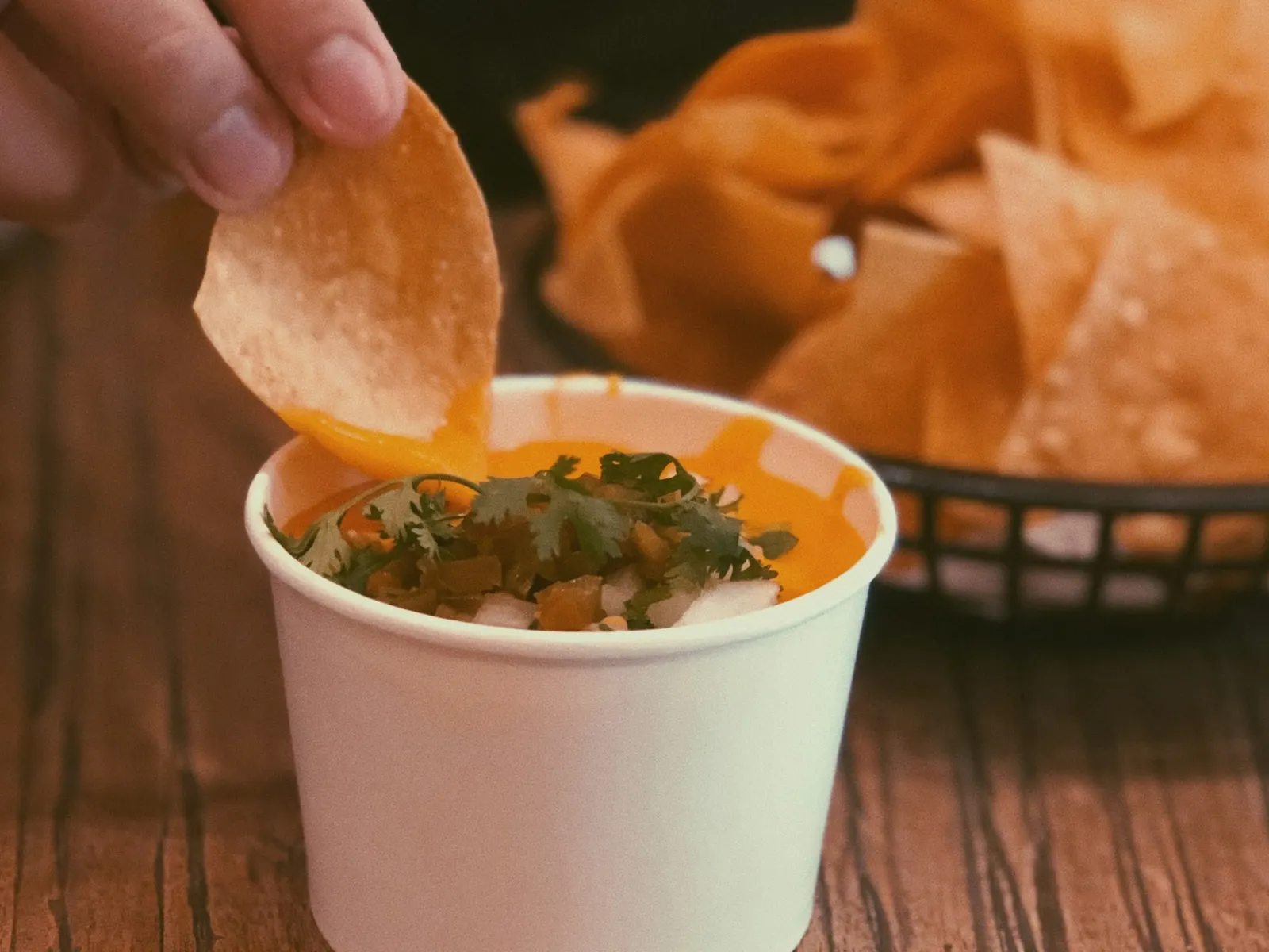 Tortilla chip dipped into warm cottage cheese queso
